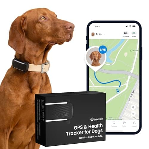 Tractive GPS Tracker Hund | 2025 Edition | Live-Ortung | Weglaufalarm | Aktivitätstracking | Gesundheitswarnungen | Bellverhalten | Empfohlen von Martin Rütter (Schwarz) image