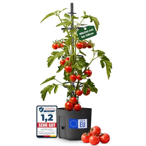 EW24 Tomatentopf 29 cm x 29 cm image