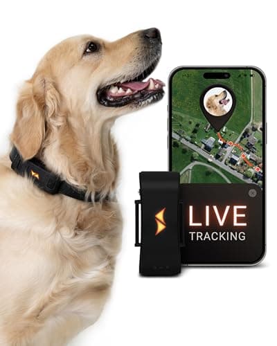 PAJ GPS Tracker für Hunde - 4G - Weglaufalarme + weltweite Live-Ortung - bis zu 10 Tage Akkusparmodus - Hunderückruf - mit Leucht-LEDs - Wasserdicht (IP67) - passt an jedes Halsband - schwarz image