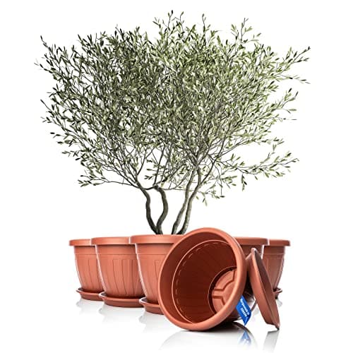 BigDean 6X Blumentopf mit Untersetzer rund ø50xH38 cm Terracotta - wetterfester Pflanzkübel image